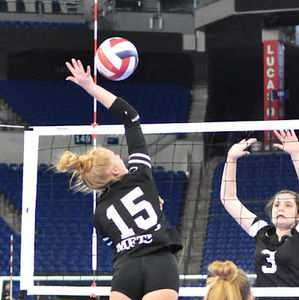 Meet your Posher, Ella